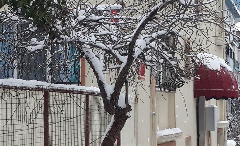 Payidar Hotel Istanbul Eksteriør billede